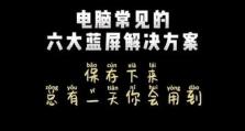 解决苹果电脑蓝屏问题的方法（苹果电脑蓝屏故障及解决方案）