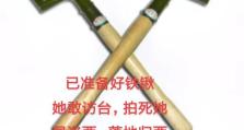 电脑开不了机，为何竟是我打了一拳？（探究打击对电脑硬件的影响和维修方法）