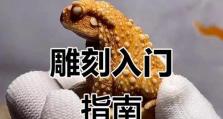 电脑雕刻初级入门教程（从零开始学习电脑雕刻，轻松掌握技巧）