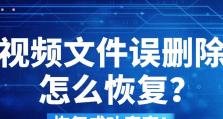 如何恢复误删的大文件（有效方法帮您轻松找回宝贵文件）