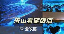 详解uptoolv2.090的使用教程（快速掌握uptoolv2.090的功能和操作技巧）