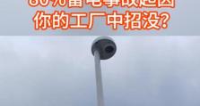 探索雷电的神秘世界（浩劫降临，雷霆的舞蹈）