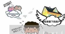 国美美借——开启智慧借贷新时代（探索智能科技与金融的融合，为用户提供便捷高效的借贷服务）