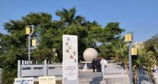 蜂巢互助（构建社区共同体，实现互助共赢）