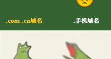 手机域名发展的现状与前景（探索手机域名的市场竞争力和创新潜力）