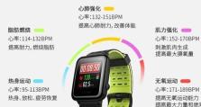 探索唯乐小黑hey3s的功能与性能（一款智能音箱的全面评测与分析）