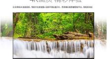 探索夏普UF30A的性能与功能（全方位评估夏普UF30A的表现与特点）