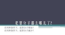 构建和谐社会的关键措施——降低犯罪率（提升社会安全感，共同营造安宁环境）