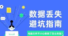 电脑数据恢复（利用技巧和工具找回你误删的重要文件）