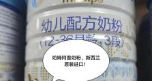 进口奶粉品牌推荐（选择优质奶粉品牌，给宝宝更好的成长）