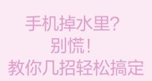 手机掉水了怎么办？正确处理方法详解（手机掉水后的紧急救援措施和维修指南）