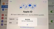 电脑连接不显示密码错误的解决方法（忘记或输入错误密码时如何解决电脑连接问题）