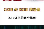 IE电脑显示证书错误及解决办法（解析IE浏览器中常见的证书错误，提供有效的解决方案）
