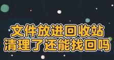 回收站文件恢复方法及注意事项（从回收站中恢复已删除文件的步骤和技巧）