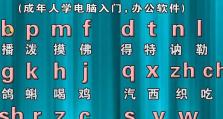 电脑输入法拼音错误字母的原因及解决方法（深入探讨拼音输入法中字母错误的根源及对策）