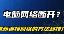网络错误（应对网络错误，让电脑重新联网畅通无阻）